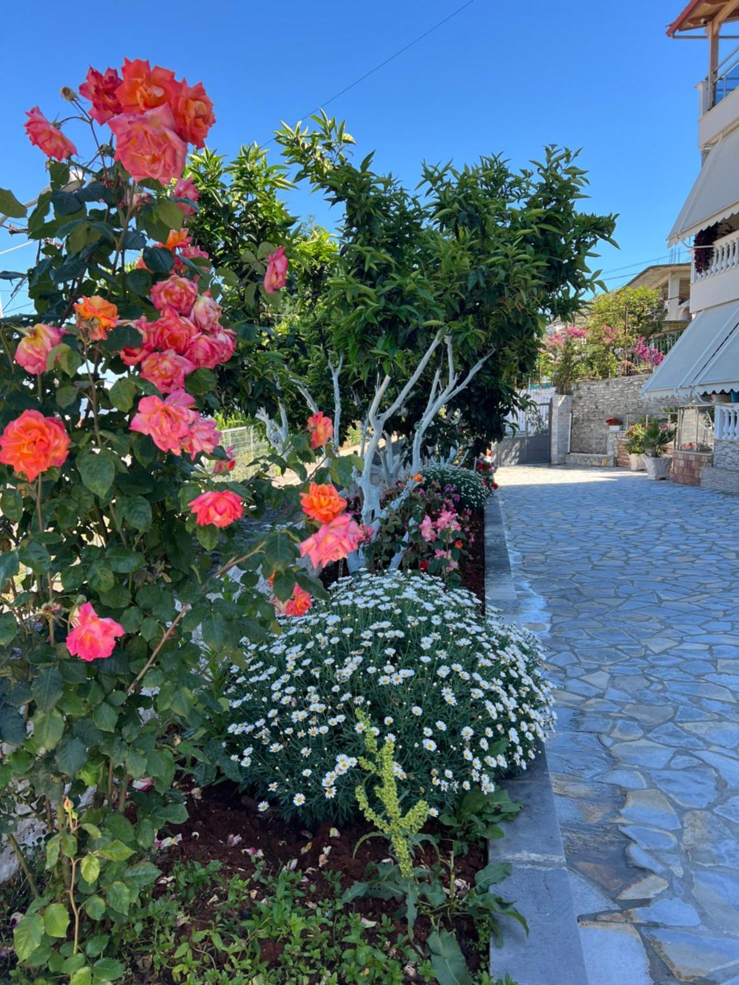 Amazing Familiar Apartments And Rooms Saranda Extérieur photo