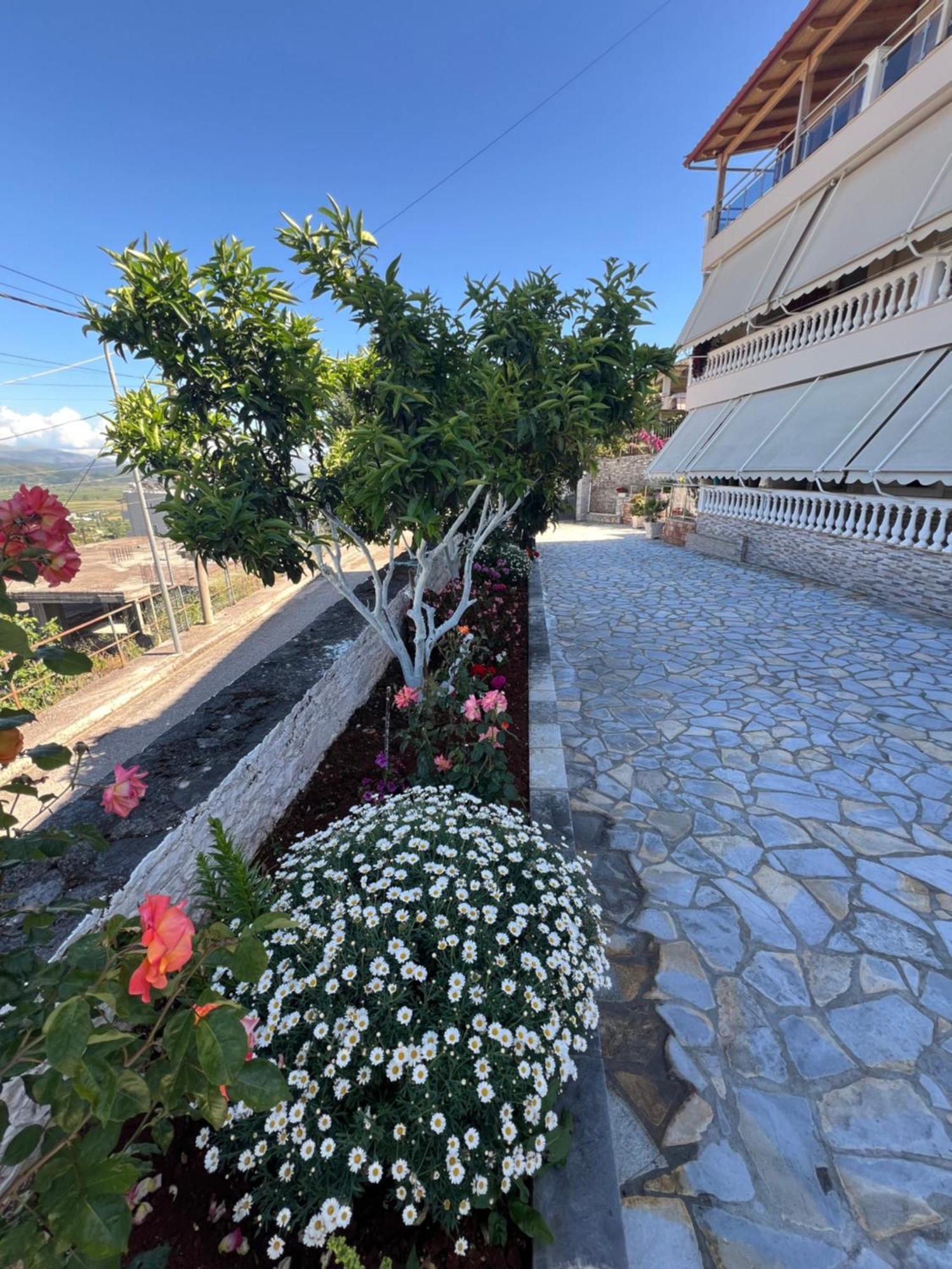 Amazing Familiar Apartments And Rooms Saranda Extérieur photo