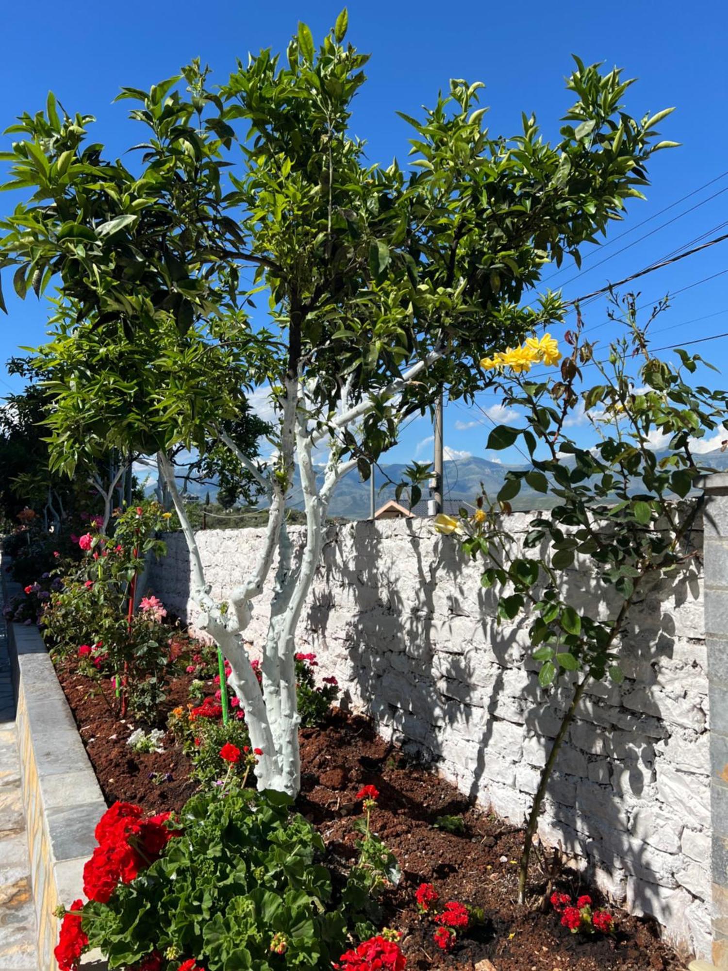 Amazing Familiar Apartments And Rooms Saranda Extérieur photo